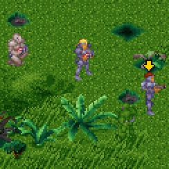 Find the Muton!