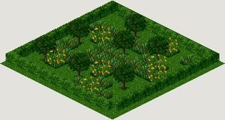 SMALL PARK