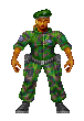 Spartans - Spartan Scout