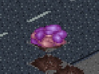 Silacoid