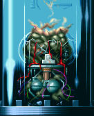 Bio-Drone Autopsy
