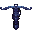 Coral X-Bow
