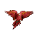 Parrot