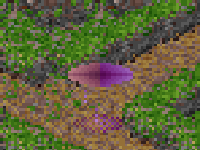 Holodrone