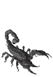 Megascorpion