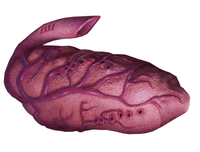 Multiworm Egg