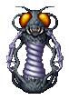 Waspite
