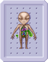 Sectoid Autopsy