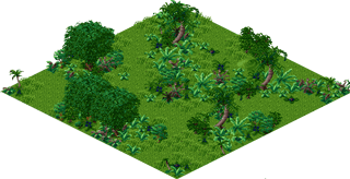Jungle Terrain