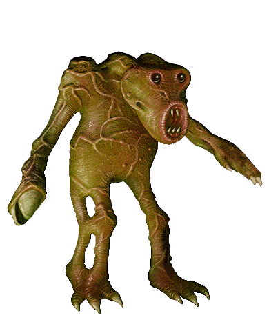 Skeletoid