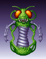 Waspite
