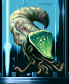 Xarquid Autopsy