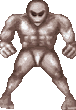 Reticulans - Sectogre