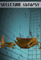 Thumbnail for version as of 01:48, 13 October 2023