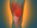 Muscle Fiber Density