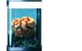Thumbnail for version as of 01:51, 20 October 2010