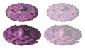 Thumbnail for version as of 01:41, 5 November 2023