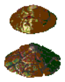Thumbnail for version as of 13:20, 22 October 2023