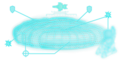 Thumbnail for version as of 14:59, 8 November 2014