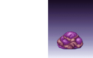UP028.gif