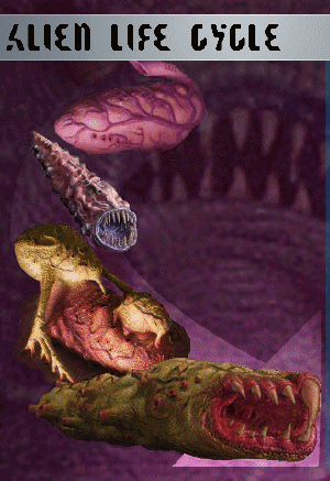Research-Pedia-LifeCycle-(Apocalypse).png