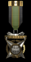 Council Medal of Honor