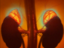 Adrenal Neurosympathy