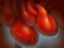 Secondary Heart