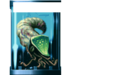 Thumbnail for version as of 01:52, 20 October 2010