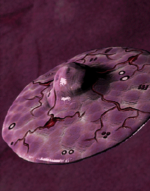 Apoc escort ship pedia.png