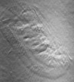 Thumbnail for version as of 15:33, 22 December 2005