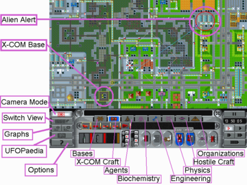 Cityscape Overhead Map View