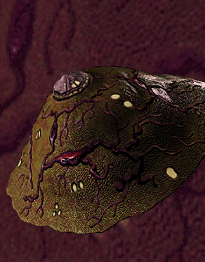 Apoc fast attack ship pedia.png