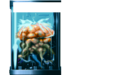 Thumbnail for version as of 01:51, 20 October 2010