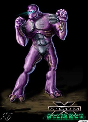Xcalliance007.jpg