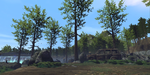 Large Scout Hillside