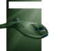 Thumbnail for version as of 01:47, 20 October 2010