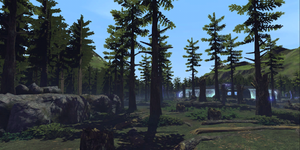 Large Scout Creepy Forest