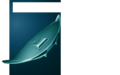 Thumbnail for version as of 01:48, 20 October 2010