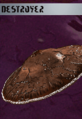 Thumbnail for version as of 07:41, 21 October 2023