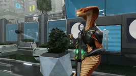 Naja