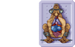 UP023.gif