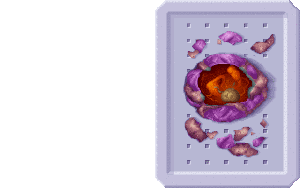 UP029.gif