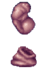 Celatid