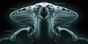 XCOM2 IC AutopsyViper.png