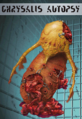 Thumbnail for version as of 08:03, 22 November 2023