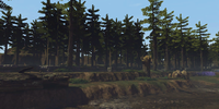 Loading screen