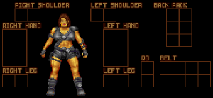 Armor AdventurerI Piratez.png
