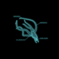 Thumbnail for version as of 00:26, 17 November 2013
