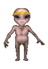 Reticulan Elder